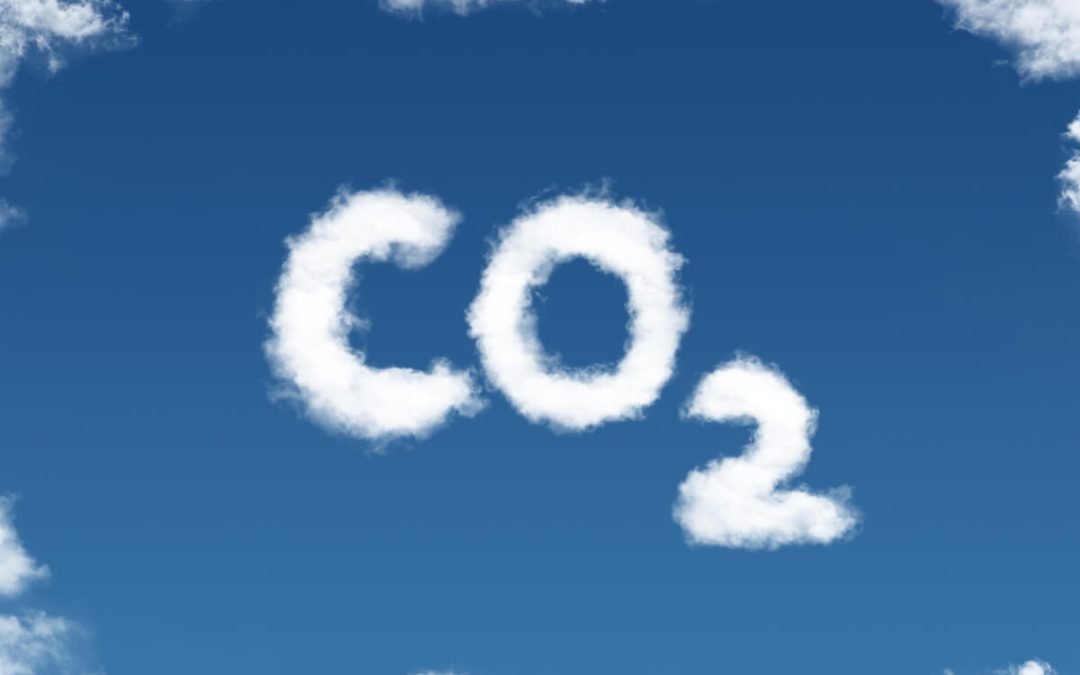 Convertir el CO2 en petroleo
